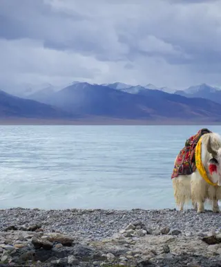 Erlebe die einsame Bergwelt am heiligen Manasarovar-See